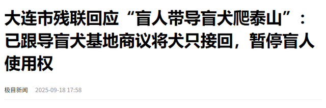 爬泰山的作死夫妻被制裁！导盲犬被收回，身份被扒，家里还有一只