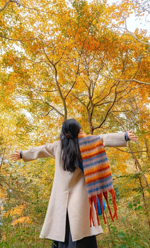 绝了！2h直抵彩林胜境！徒步遛娃冲绝版奖牌，集五福刮999足金！闹非遗羌年、吃刨汤羌宴！