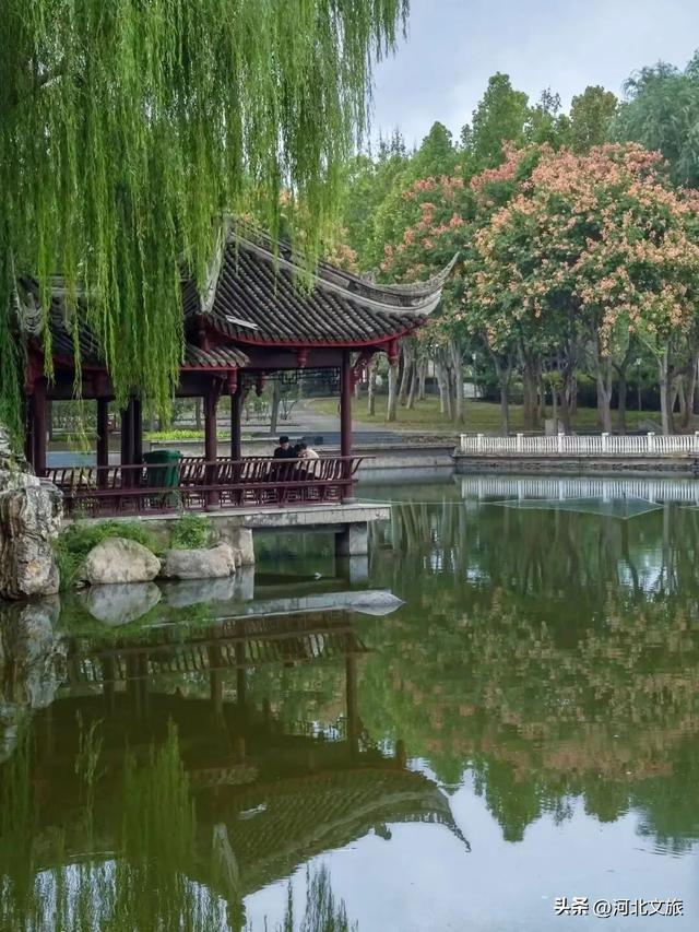 秋日，不去一趟石家庄植物园，会留遗憾