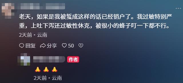 云南大姨被蜜蜂狂蜇，满脸蜂刺求助，过路司机惊呆，网友直呼惊险
