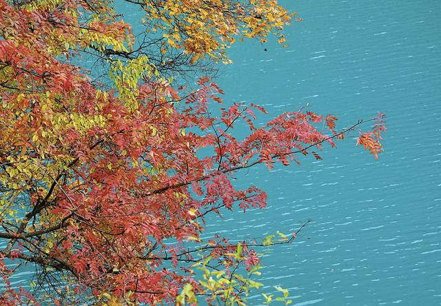 九寨沟的颜值巅峰：层林尽染、海子映彩