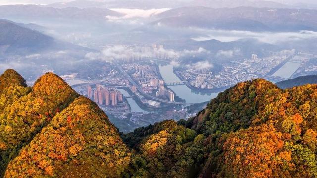 山山秋色如画 树树红叶醉人