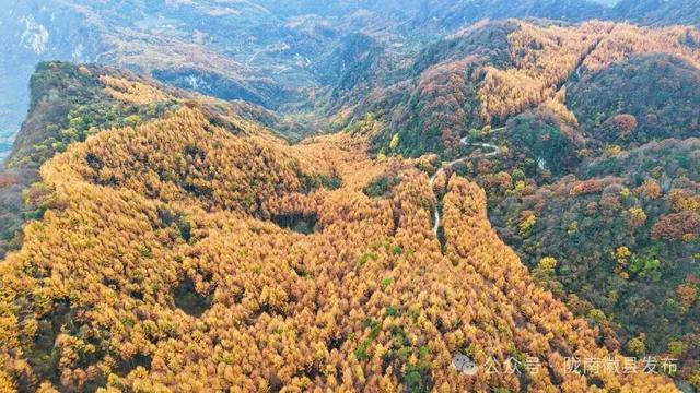 松针作笔，风折叶黄——嘉陵江峡谷群的初冬上滩书