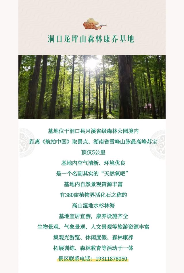 邵阳秋日去哪嗨？这条生态康养旅游精品线路，带你解锁宝藏地！