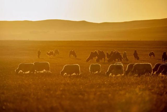 把治愈系风景装进相册里吧！