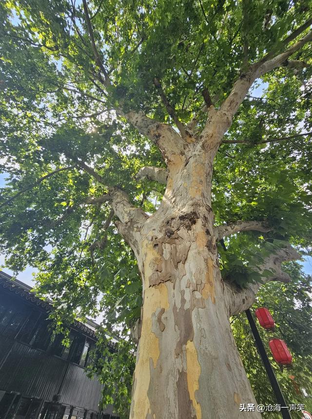 一条路，一条河，一条路，一座城，平江路，姑苏城！