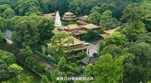 周末出国！高铁20min直达最美异域小城！风光极致美食无敌，入秋满城银杏美哭！