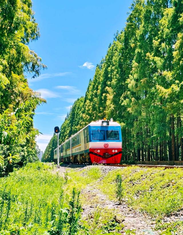 我是上海人,刚从金山区回来,实在忍不住想说:对金山的5点印象
