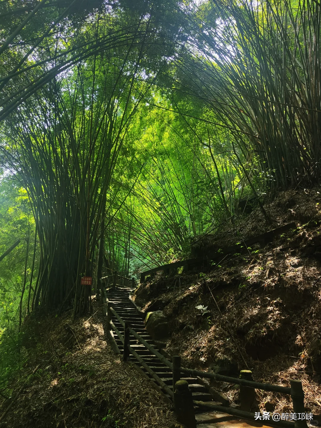 期待！邛崃市IMTA全域户外徒步道建设正式启动！