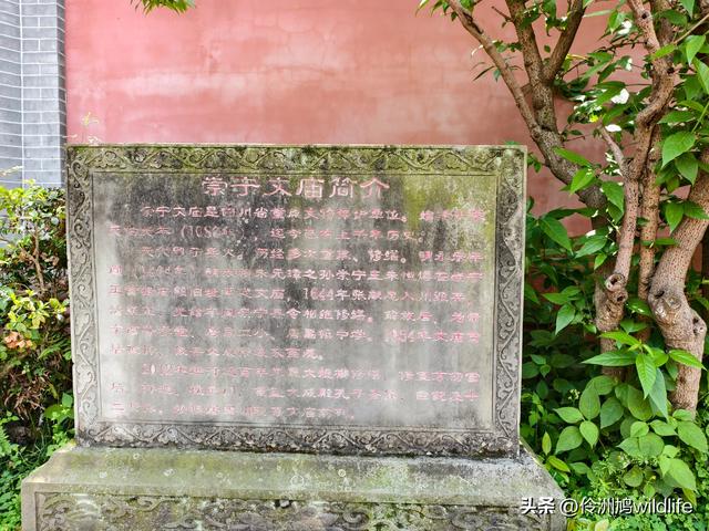成都古镇（14）郫县唐昌古镇文庙、翰林府&美食