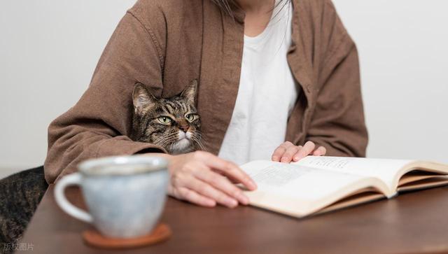 斯坦福专家：就花17分钟，能永久优化你的专注力