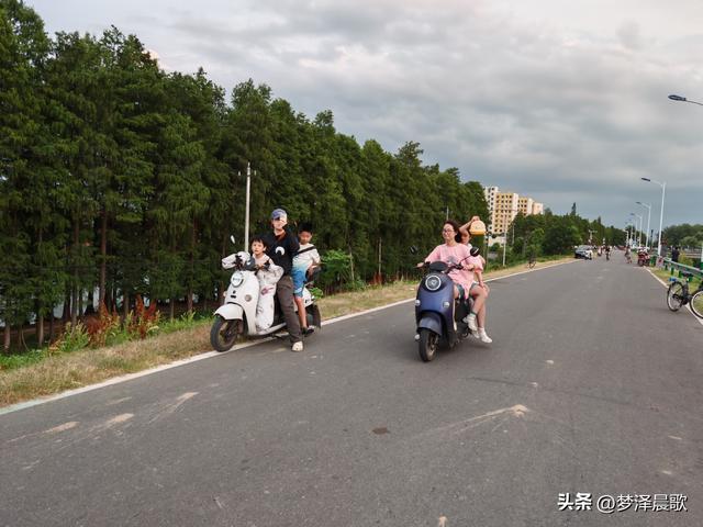 云梦：府河大堤好纳凉 城市绿廊变身"天然空调房"