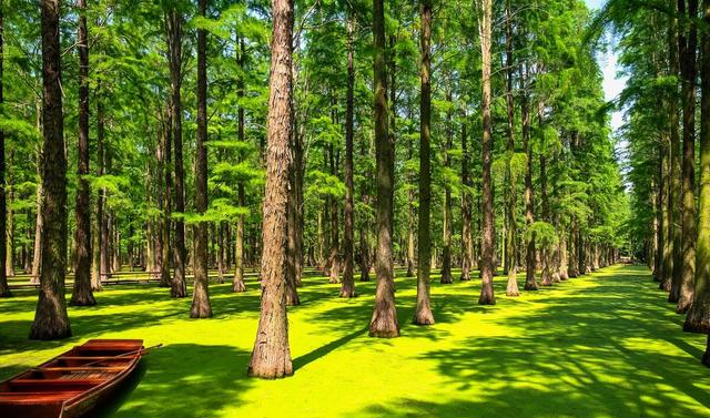 家中老人离世时，留下这几样东西，是来害儿孙的，别不信