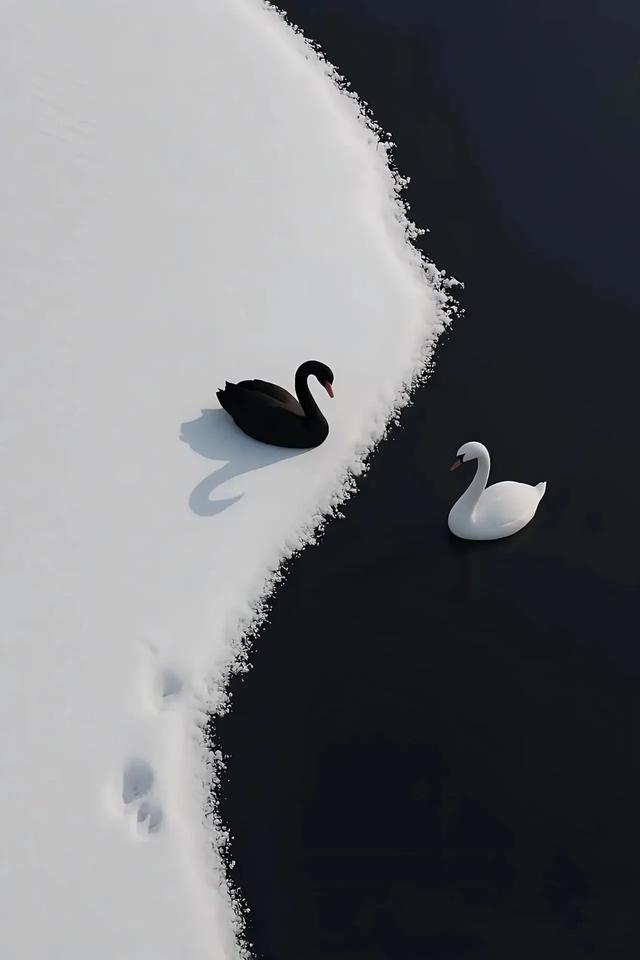 手机壁纸精美图片（112）