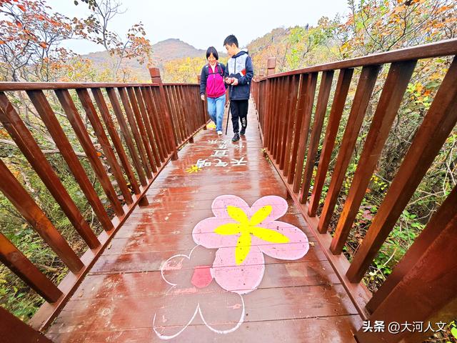 赵庄：红叶与五彩步道交织的秋日盛景