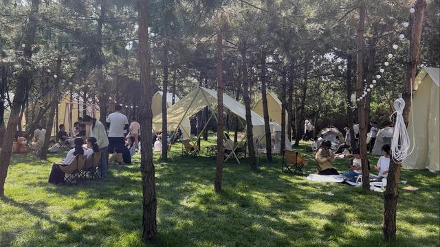 十万游客聚庆城 千年文脉绽芳华——岐黄周祖文化盛宴燃动盛夏