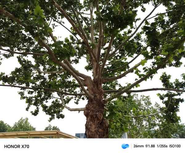 荣耀X70体验：硬核实力定义千元机新标杆