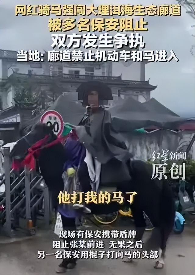 骑马闯廊道、踩踏稻田拍照……此等“快乐”莫要建立在痛苦之上