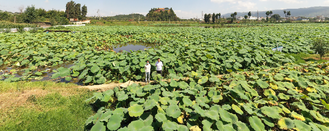 三宝街道宝藏玩法大揭秘！营地乐园、垂钓采摘、温泉美食、古寺山野...近郊遛娃度假首选地！