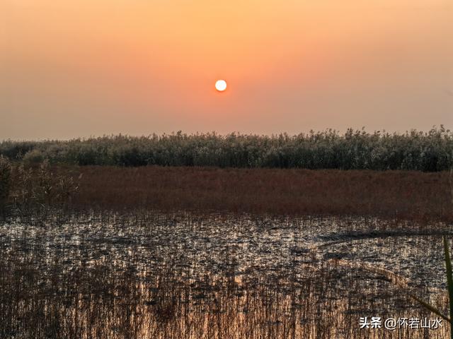 2025辽宁赏秋之旅日记(6)——到辽河口中国最北海岸线看日出 观鸟