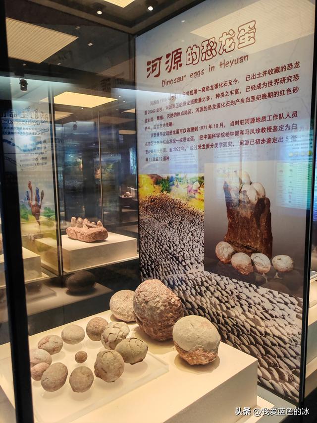 来河源才知道河源是中国恐龙之乡，挖掘出的恐龙蛋超级多