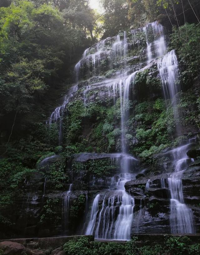 蜀里安逸，花 YOUNG 好礼 | 成都天台山旅游景区新生专属优惠来袭！