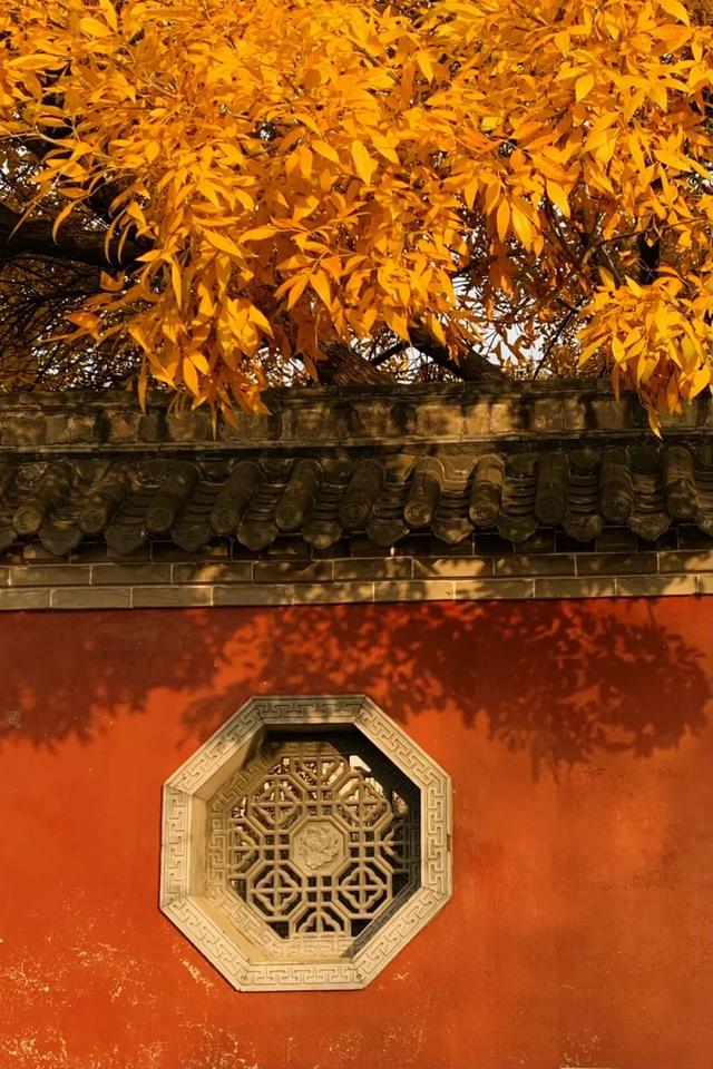 红与黄！我不允许还有人不知道这个打卡点！