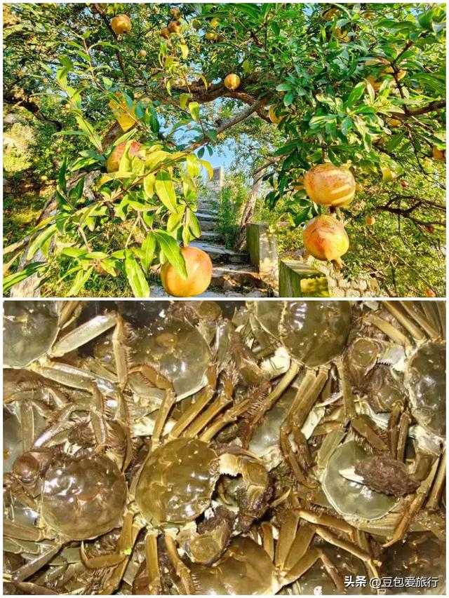 漫步南北之间，感受淮上风情——蚌埠漫游攻略