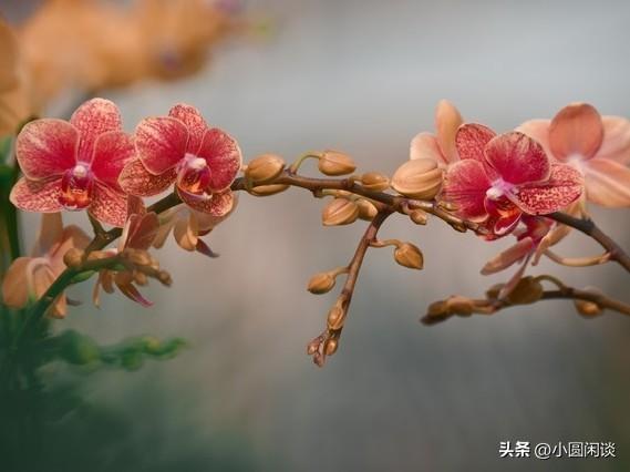 行有所止，言有边界，凡事有度，才是人与人之间最舒服的关系