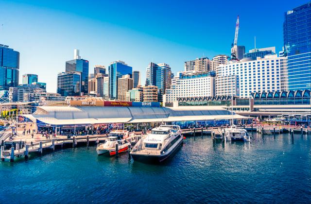 今年冬天，我想去这里过夏天