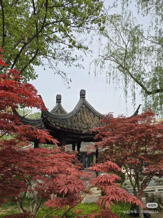 来京20多年,终于走进了一直不敢进的友谊宾馆......