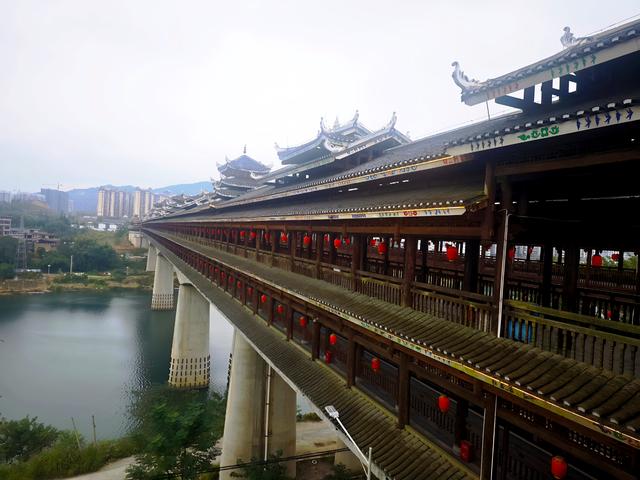 桂北秋色行之柿红