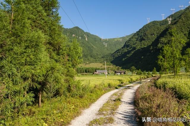 那年去相亲，到了对象家门口，我转身就走，姑娘追上来：跟我回家