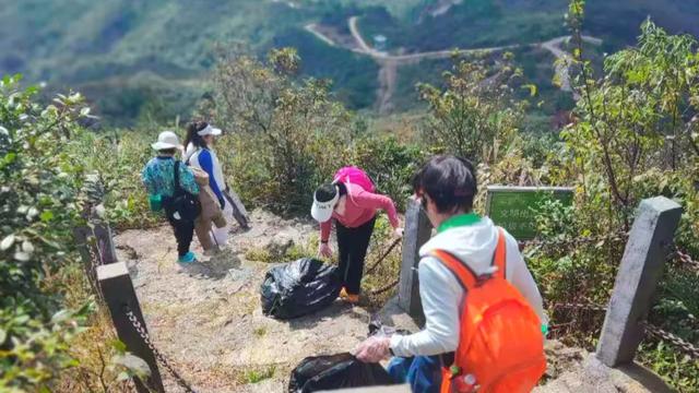 新干海拔1169.1米山顶的别样风景