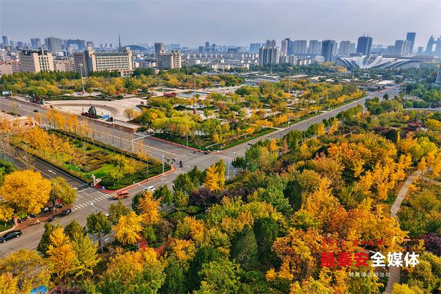 泰城深秋遍染金裳 斑斓画卷映眼帘