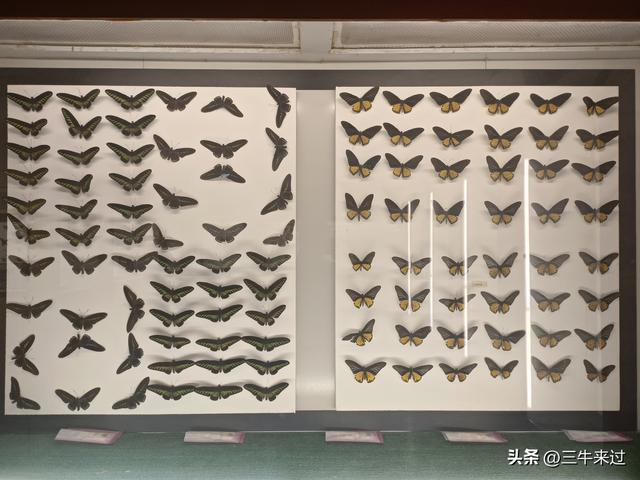 无为在歧路，国庆游淄博2