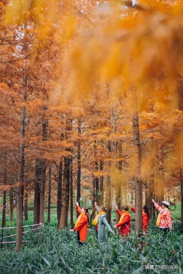 最新实拍!德阳东湖山都美成啥样了啊?太夸张了