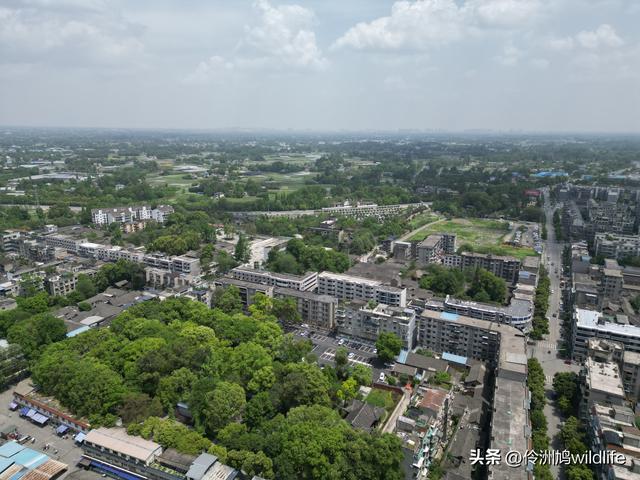 成都古镇（15）郫县唐昌古镇崇宁公园·大椿巷