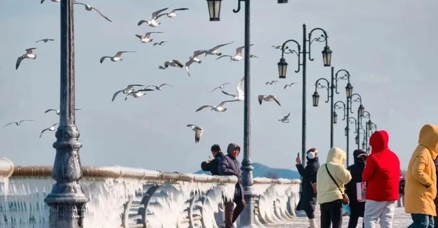 大数据来了！冬日大连的“头号粉丝”是→