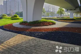 “桥下灰”变为“生态绿” 苏州G312桥下空间华丽焕新图片