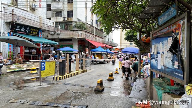 广州南沙金洲，一个充满市井生活气息的地方……