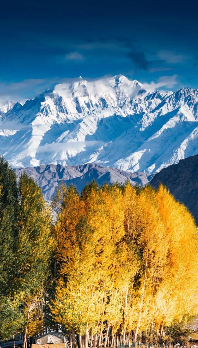 10月自驾帕米尔，闯入中国最牛县城的金色神话！