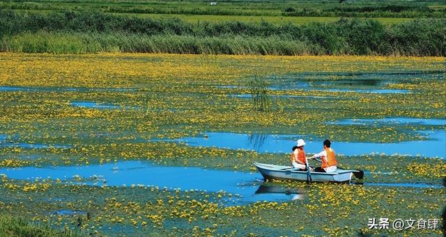 保定旅游游玩全攻略，超详细，推荐收藏