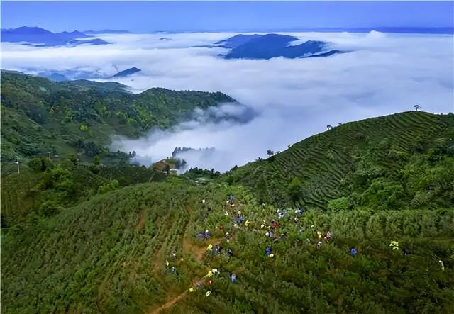 “五一”去哪玩？广东这6条乡村精品线路值得一游