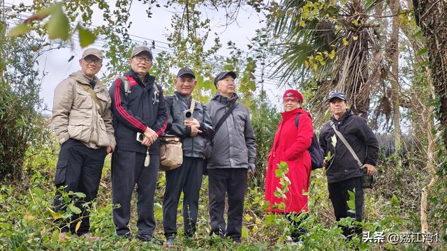 游长岗岭古村，观飘黄银杏