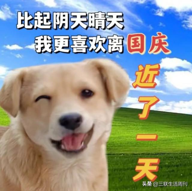 2025新型过十一方式：慢下来，P一点