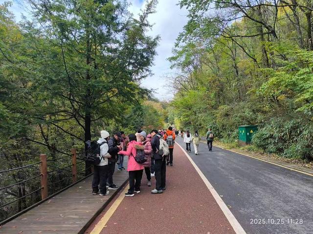 排队游览光雾山