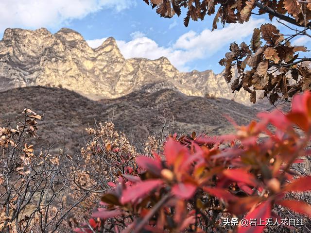 长城徒步之95：赤城万水泉村至琵琶村长城，遇42眼护城墩和圆楼