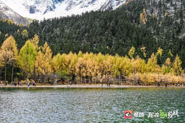 打卡彩林“天花板”！毕棚沟x可颂采风活动圆满结束！