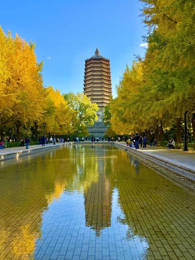 写生日记——251101 北京·玲珑公园